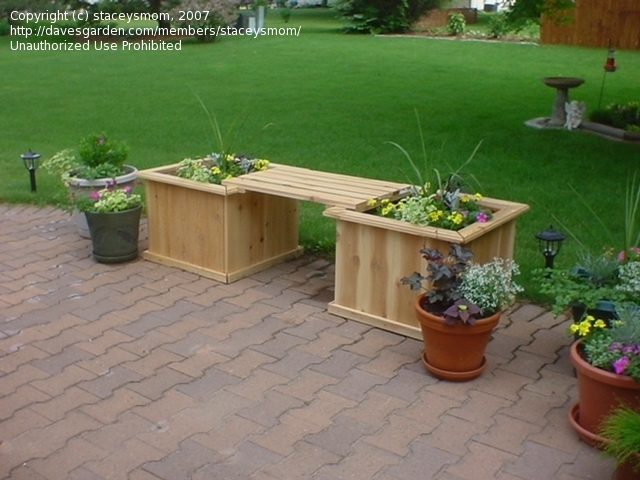 Cedar Planter Box Bench Plans