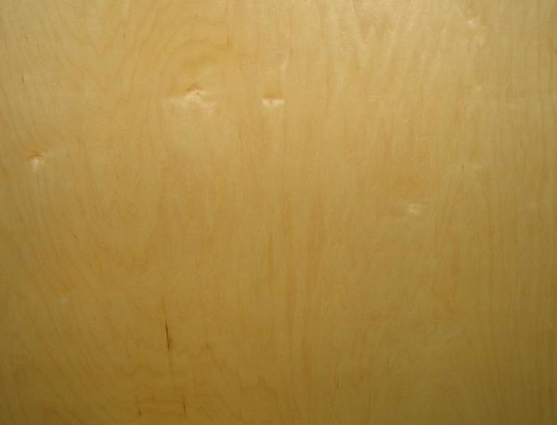x x UV Prefinished Birch Plywood at Menards