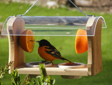 Wood Projects Bird Feeders