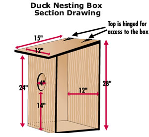 Wood Duck Box Building Plans