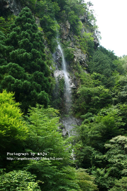 森と囲炉裏と清流と滝　みたき園　鳥取県八頭郡