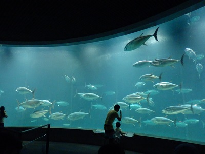 葛西臨海水族館