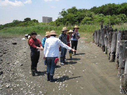 2013年6月8日（土）干潟清掃で「渡り鳥サポーターになろう！」⑭