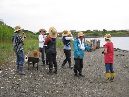 2013年6月8日（土）干潟清掃で「渡り鳥サポーターになろう！」⑧