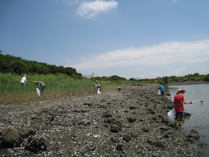 2013年6月8日（土）干潟清掃で「渡り鳥サポーターになろう！」④