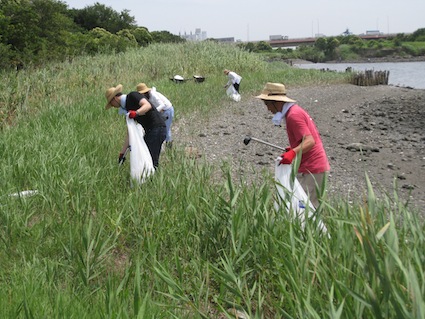 2013年7月6日干潟清掃で「渡り鳥サポーターになろう！」⑦