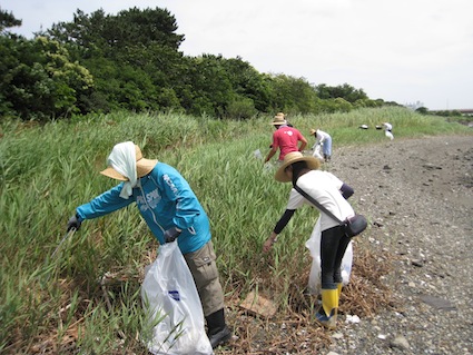 2013年7月6日干潟清掃で「渡り鳥サポーターになろう！」⑥