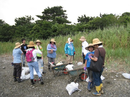 2013年8月3日（土）干潟清掃で「渡り鳥サポーターになろう！」⑬