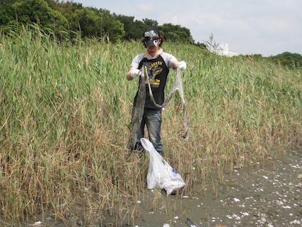 2013年9月7日（土）干潟清掃で「渡り鳥サポーターになろう！」7