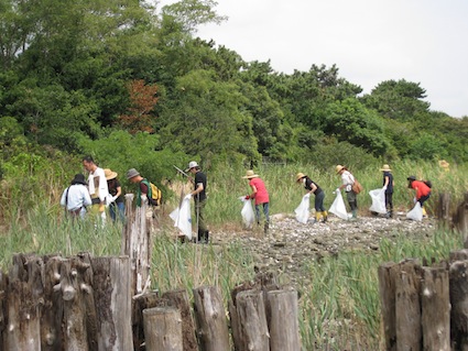 2013年9月7日（土）干潟清掃で「渡り鳥サポーターになろう！」5