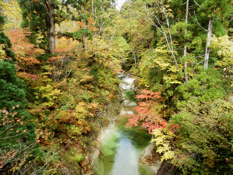 PA230355.jpg