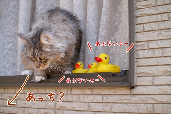 G131225_54.jpg