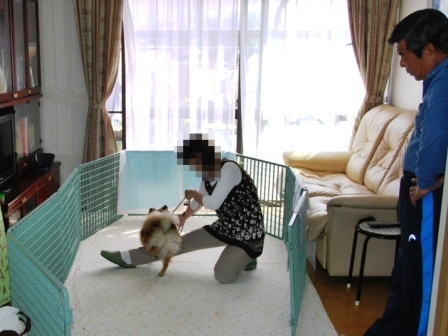 130518q.jpg