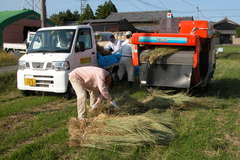 脱穀の済んだ稻藁は改めて年末まで保管します