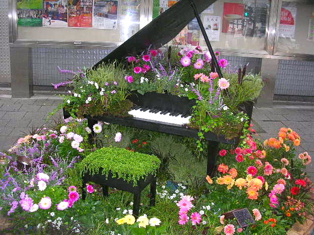 大人からのピアノ ピアノ花壇