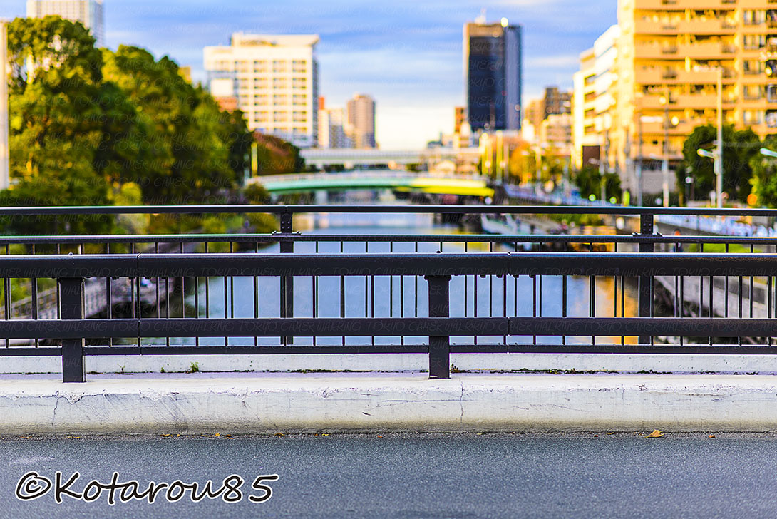 橋のある風景 20141104