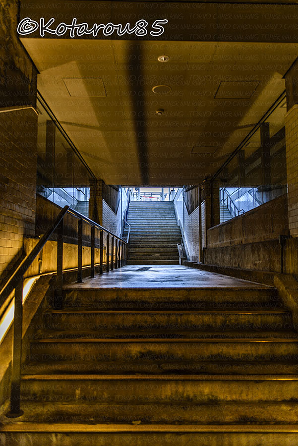 プラットホームへの階段 20141108