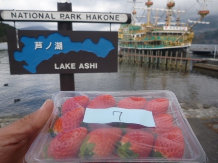 20131215-2-芦ノ湖2.JPG