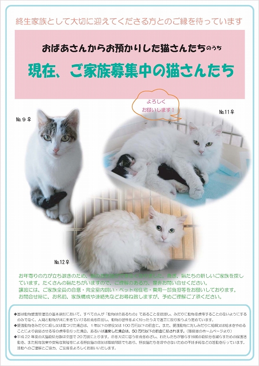 神奈川県相模原市発12匹の猫緊急SOS