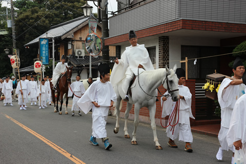 鷲宮神社　夏越祭　馬も行列に参加