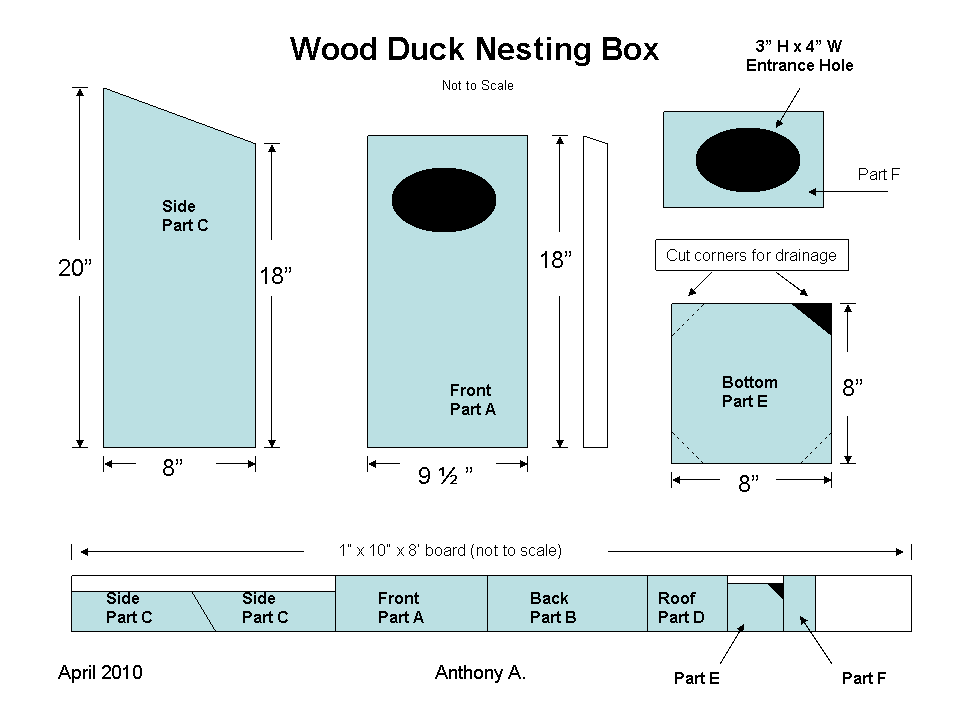 How To Build Wood Duck Boxes | Easy-To-Follow How To build 