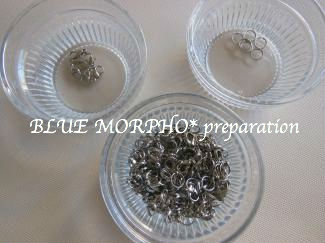 bluemorpho.preparation.2014.1.9.2