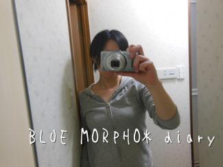 bluemorpho.diary.2013.6.2.1