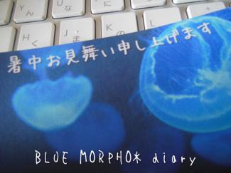 bluemorpho.diary.2013.8.8